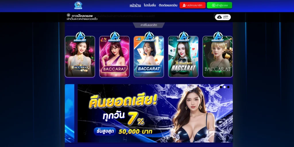 ทางเข้า admin289